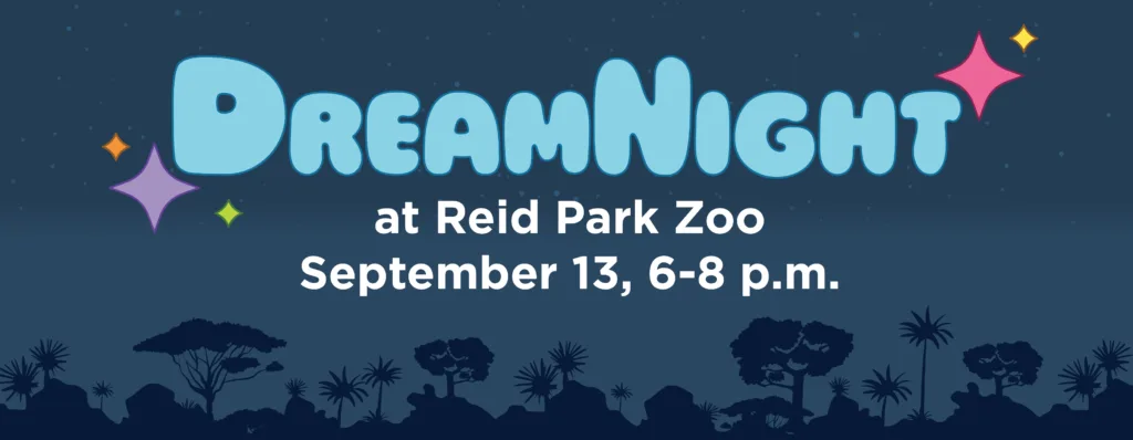Long email header dreamnight 2025 