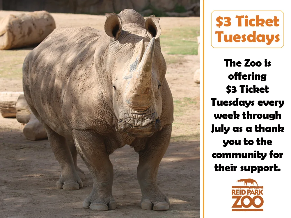 Web thumb $3 tuesdays 2025 4 (1) (1) (1)