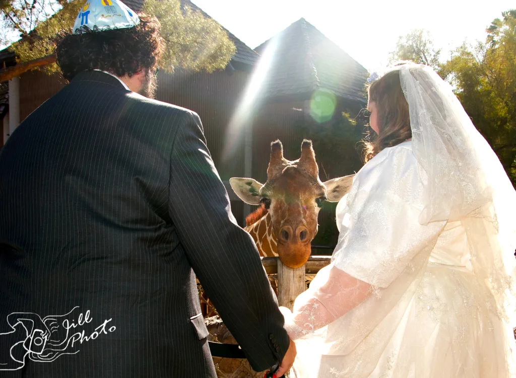 Goodman & khazanovich wedding 4.7 (2)