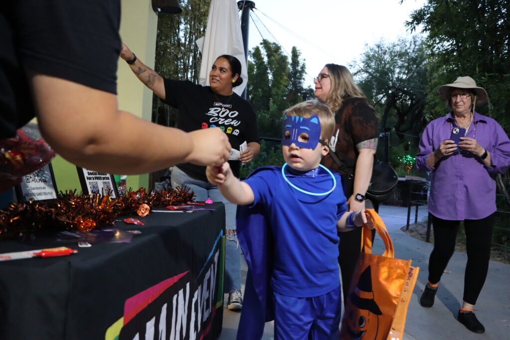 Guest kid candy pj masks