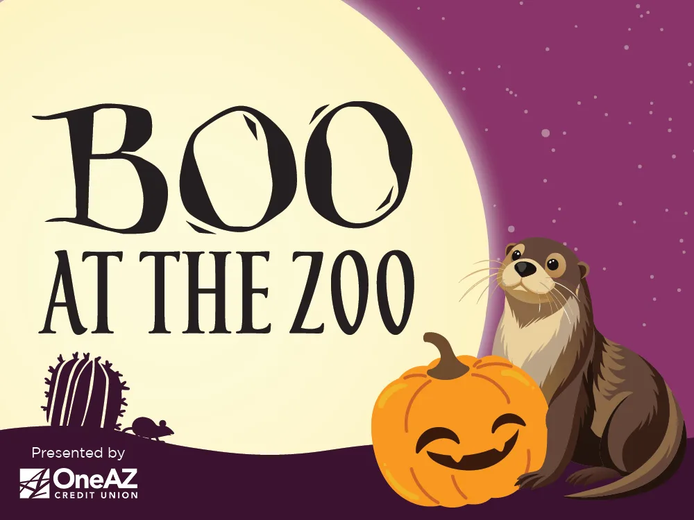 Web thumb email header boo 2025 2 (1)