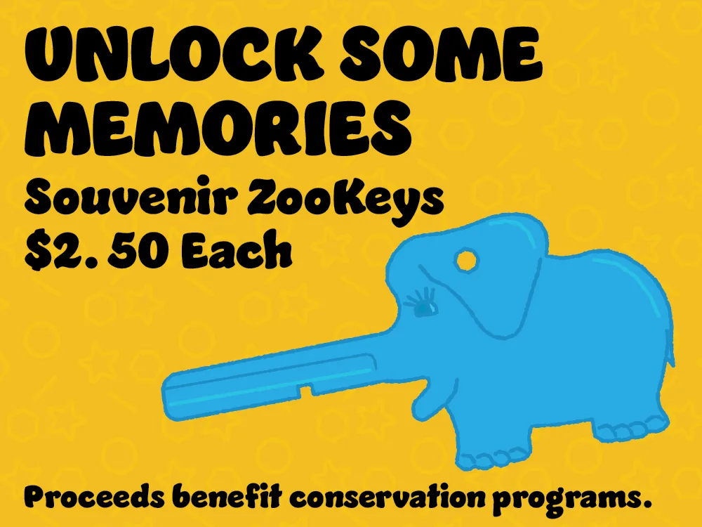 Unlock Some Memories