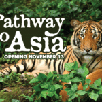Pathway to Asia Opens November 13