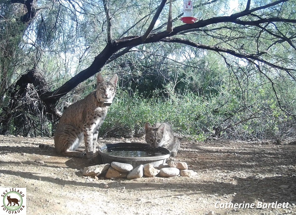 Wildlife Camera Workshop